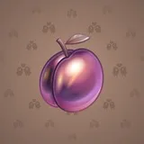 Precious Peach #223 Precious Peach #223