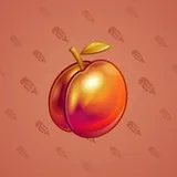 Precious Peach #2262