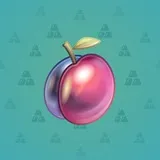 Precious Peach #2264 Precious Peach #2264