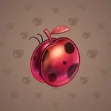 Precious Peach #2296 Precious Peach #2296