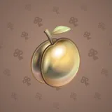 Precious Peach #2314 Precious Peach #2314