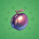 Precious Peach #2365 Precious Peach #2365