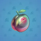 Precious Peach #2421 Precious Peach #2421