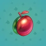 Precious Peach #2445 Precious Peach #2445