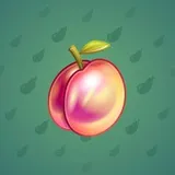 Precious Peach #2488 Precious Peach #2488