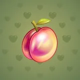Precious Peach #2491 Precious Peach #2491