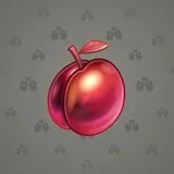 Precious Peach #2496 Precious Peach #2496