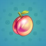 Precious Peach #2567 Precious Peach #2567