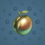 Precious Peach #2583 Precious Peach #2583