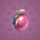 Precious Peach #2586 Precious Peach #2586