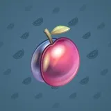 Precious Peach #2594 Precious Peach #2594