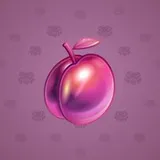 Precious Peach #2596 Precious Peach #2596