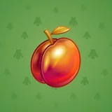 Precious Peach #270 Precious Peach #270
