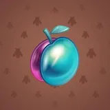 Precious Peach #277 Precious Peach #277