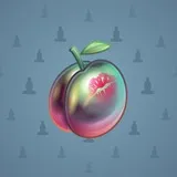 Precious Peach #2778 Precious Peach #2778