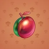 Precious Peach #2798 Precious Peach #2798