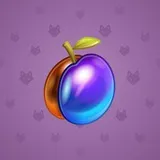 Precious Peach #2816