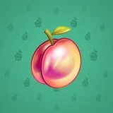 Precious Peach #2826 Precious Peach #2826
