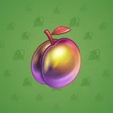 Precious Peach #294 Precious Peach #294