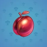 Precious Peach #337 Precious Peach #337