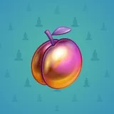Precious Peach #347 Precious Peach #347