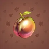 Precious Peach #349 Precious Peach #349