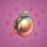 Precious Peach #351 Precious Peach #351