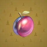 Precious Peach #355 Precious Peach #355