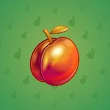 Precious Peach #359 Precious Peach #359