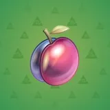 Precious Peach #38 Precious Peach #38