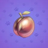 Precious Peach #42 Precious Peach #42