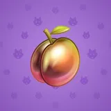 Precious Peach #430 Precious Peach #430