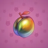 Precious Peach #431 Precious Peach #431