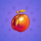 Precious Peach #443 Precious Peach #443