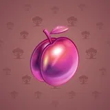 Precious Peach #446 Precious Peach #446