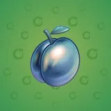 Precious Peach #451 Precious Peach #451
