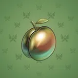 Precious Peach #471 Precious Peach #471