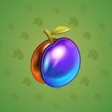 Precious Peach #511