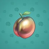 Precious Peach #512 Precious Peach #512
