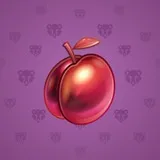 Precious Peach #516 Precious Peach #516