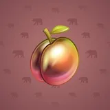 Precious Peach #536