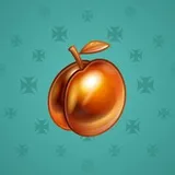Precious Peach #538 Precious Peach #538