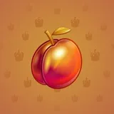 Precious Peach #577 Precious Peach #577