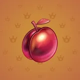 Precious Peach #592 Precious Peach #592