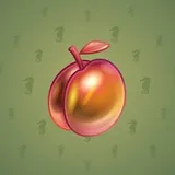 Precious Peach #600