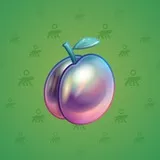 Precious Peach #620