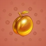 Precious Peach #621 Precious Peach #621