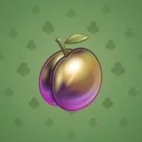 Precious Peach #650 Precious Peach #650