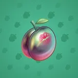 Precious Peach #680