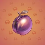 Precious Peach #681